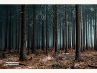 9473 Lavamünd - Landwirtschaftsgrund