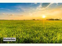 2722 Muthmannsdorf - Landwirtschaftsgrund