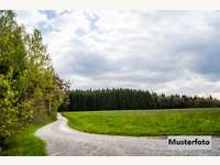 6105 Leutasch - Landwirtschaftsgrund