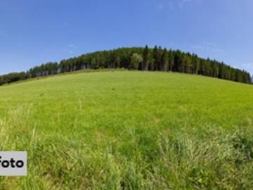 8242 St. Lorenzen am Wechsel - Landwirtschaftsgrund