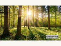 6236 Alpbach - Landwirtschaftsgrund