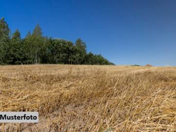 8242 Auerbach - Landwirtschaftsgrund