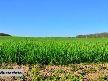 7142 Illmitz - Landwirtschaftsgrund