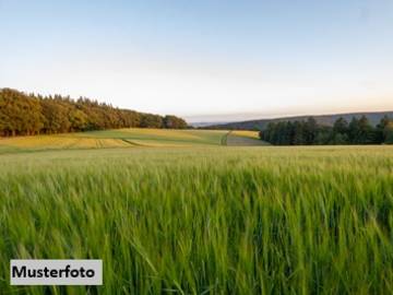 3430 Staasdorf - Landwirtschaftsgrund
