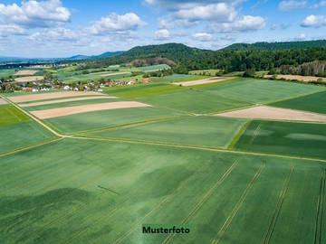 2620 Wartmannstetten - Landwirtschaftsgrund
