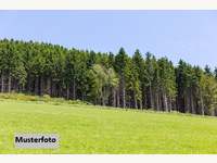 5723 Uttendorf - Landwirtschaftsgrund