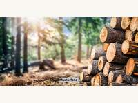 6361 Kelchsau - Landwirtschaftsgrund