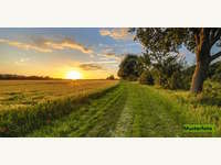 4372 St.Gerogen am Walde - Landwirtschaftsgrund