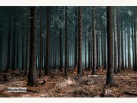 6365 Kirchberg in Tirol - Landwirtschaftsgrund