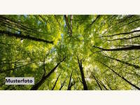 6365 Kirchberg in Tirol - Landwirtschaftsgrund