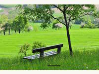 8272 Sebersdorf - Landwirtschaftsgrund