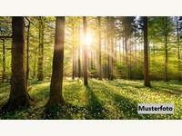 6380 St. Johann in Tirol - Landwirtschaftsgrund