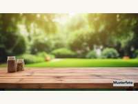 2482 Münchendorf - Freizeitgrundstück