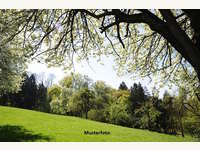 8272 Sebersdorf - Landwirtschaftsgrund