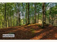 6380 St. Johann in Tirol - Landwirtschaftsgrund