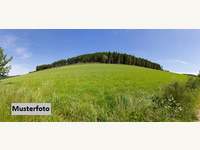 7423 Pinkafeld - Landwirtschaftsgrund