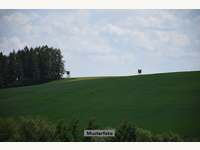 2070 Obernalb - Landwirtschaftsgrund