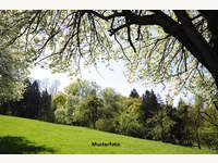 8081 Heiligenkreuz am Waasen - Landwirtschaftsgrund