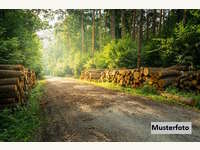 8081 Heiligenkreuz am Waasen - Landwirtschaftsgrund