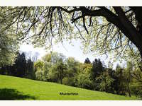 3550 Langenlois - Landwirtschaftsgrund