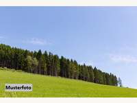 3550 Langenlois - Landwirtschaftsgrund