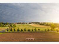 7142 Illmitz - Landwirtschaftsgrund