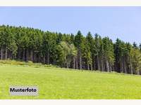 8081 Heiligenkreuz am Waasen - Landwirtschaftsgrund