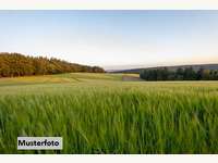 3550 Langenlois - Landwirtschaftsgrund