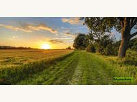 3550 Langenlois - Landwirtschaftsgrund