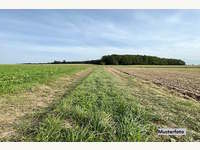 7142 Illmitz - Landwirtschaftsgrund