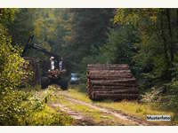 2721 Bad Fischau - Landwirtschaftsgrund