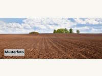 7142 Illmitz - Landwirtschaftsgrund
