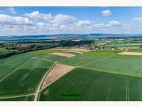 7142 Illmitz - Landwirtschaftsgrund