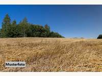 7142 Illmitz - Landwirtschaftsgrund