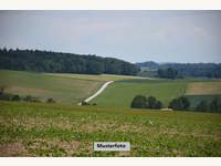 2070 Obernalb - Landwirtschaftsgrund