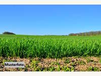 2225 Zistersdorf - Landwirtschaftsgrund