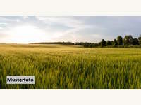 2225 Zistersdorf - Landwirtschaftsgrund