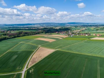 8242 Auerbach - Landwirtschaftsgrund