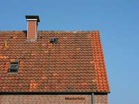 6473 Wenns - Einfamilienhaus