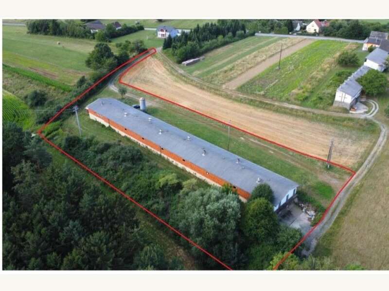 Ansicht - Halle Stinatz - Bild 1