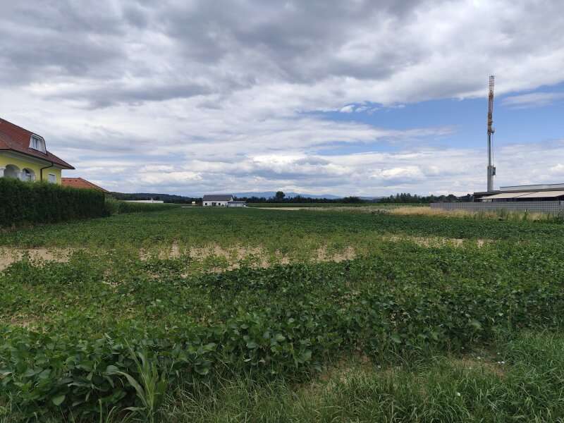 Baugrund Oberwart - Bild 1
