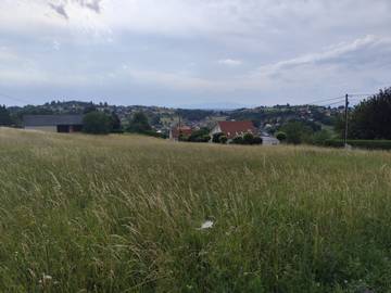 7501 Oberdorf im Burgenland - Baugrundstück
