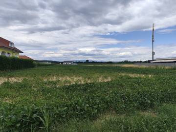 7400 Oberwart - Baugrundstück