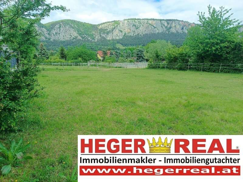 Grundstück Hohe Wand - Bild 1