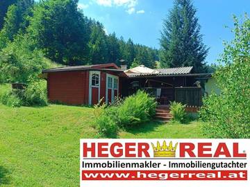 2881 Trattenbach - Haus