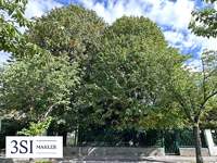 1230 Wien - Baugrund