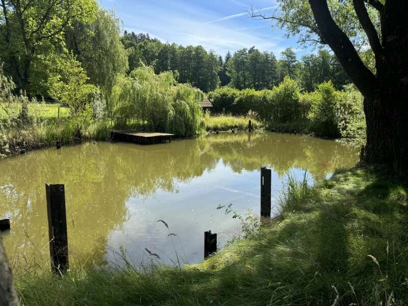 Grundstück Hitzendorf - Bild 1