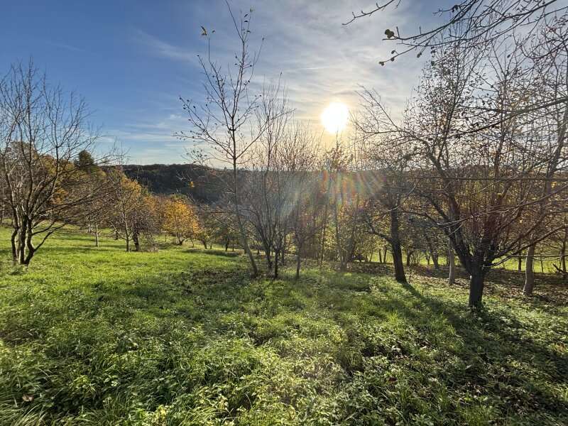 Landwirtschaftsgrund Ruppersdorf - Bild 1