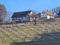 Straß in Steiermark - Bauernhaus