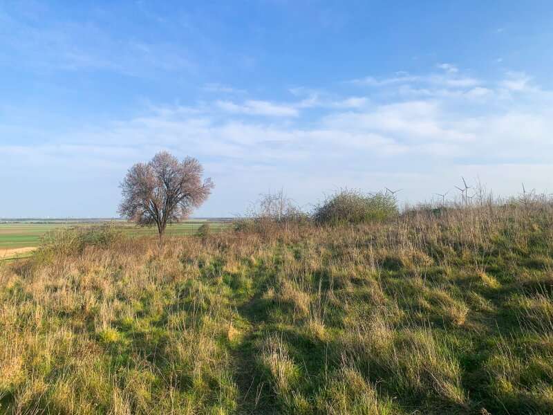 Baugrund Nickelsdorf - Bild 1